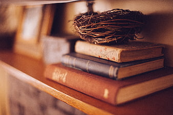 Vintage books stacked on a wooden shelf with a rustic bird's nest decoration