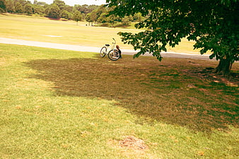 Woman Resting with Bicycle in Shady Park