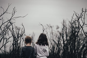 Two children standing in a field of dead trees