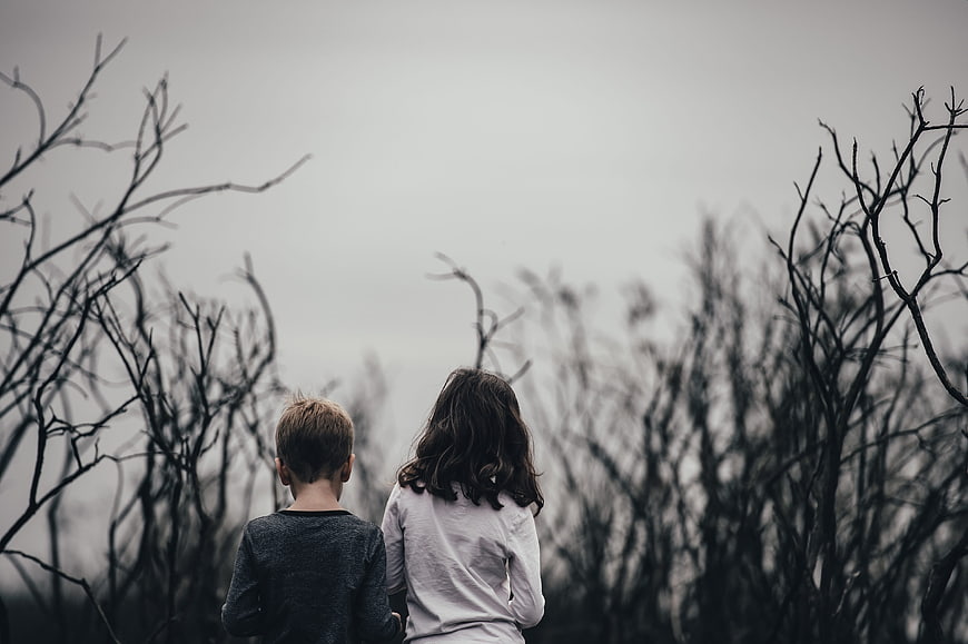 Two children standing in a field of dead trees
