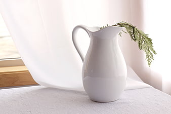 Minimalist White Ceramic Pitcher with Greenery by Window