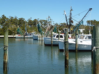 Fishing boats docked at a sunny harbor with wooden pilings