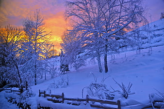 Snowy Winter Landscape with Vibrant Sunset Sky
