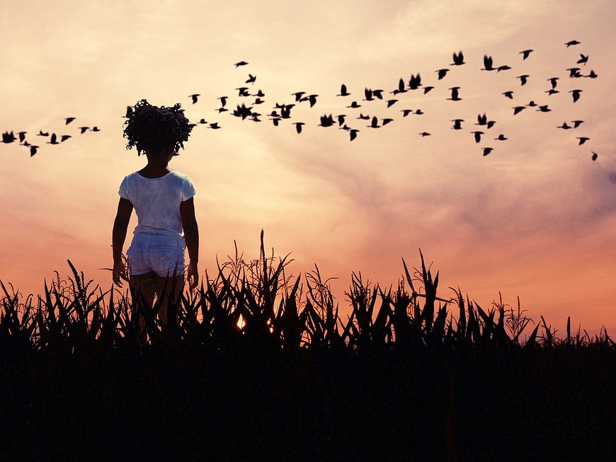 Silhouette of Girl Watching Birds Fly at Sunset