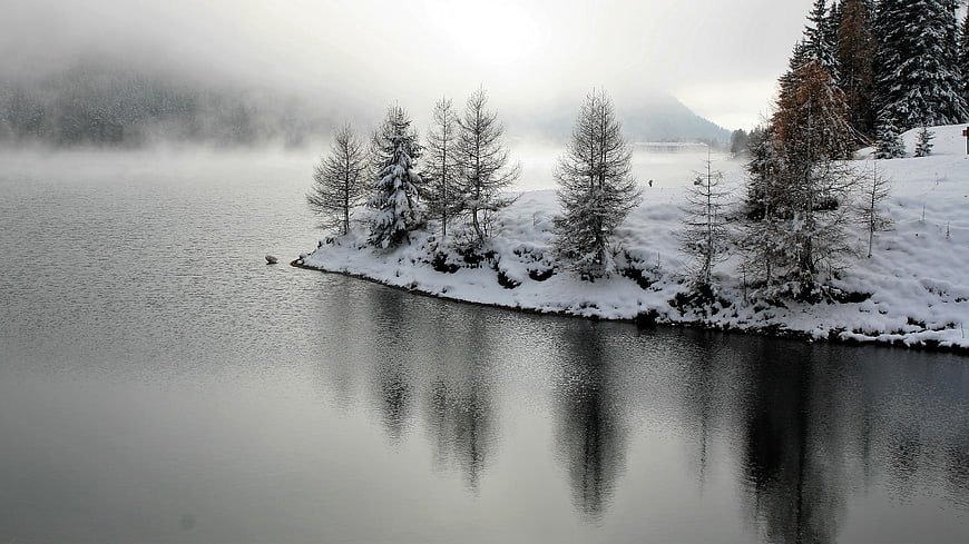 Serene Winter Lake Landscape with Snowy Trees and Mist