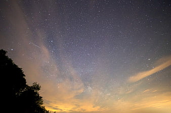 Starry night sky with shooting stars and tree silhouette