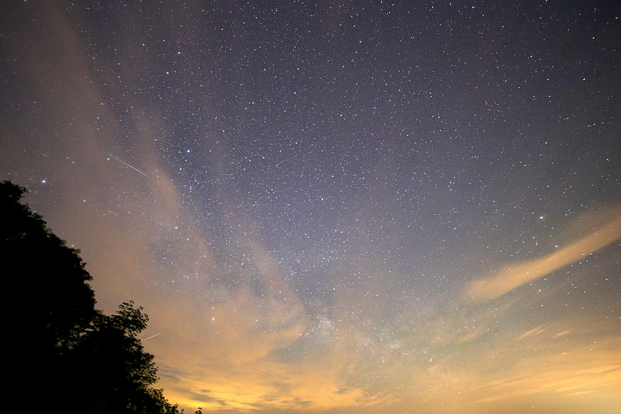 Starry night sky with shooting stars and tree silhouette