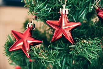 Close-up of shiny red star ornaments on a green Christmas tree