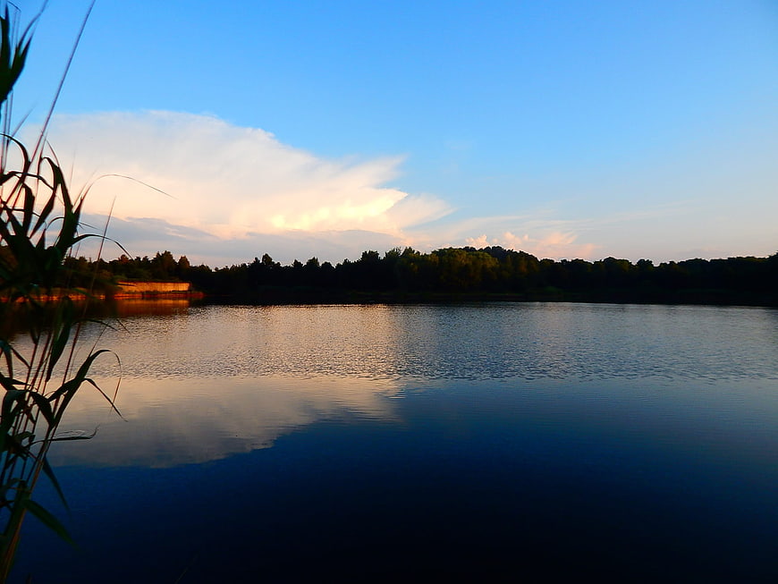 Serene Lake Sunset with Reeds and Cloud Reflection