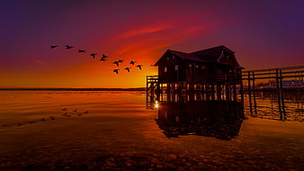 Silhouetted Boathouse on Lake at Vibrant Sunset with Flying Geese
