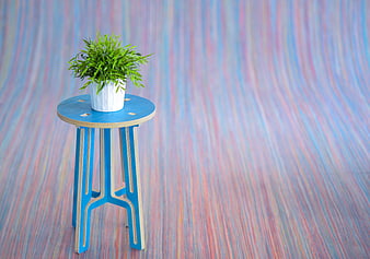 Green Plant on Blue Stool Against Colorful Striped Background