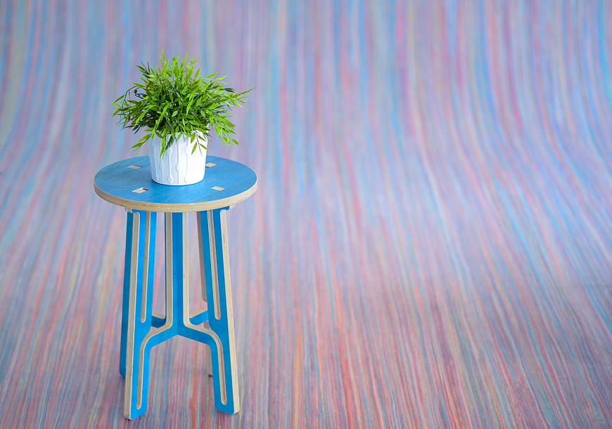 Green Plant on Blue Stool Against Colorful Striped Background