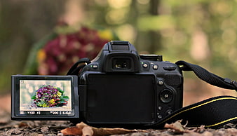 DSLR Camera Displaying Autumn Bouquet In Forest Setting