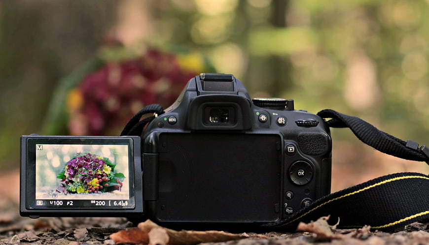 DSLR Camera Displaying Autumn Bouquet In Forest Setting