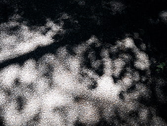 Abstract Shadows on Textured Concrete Pavement