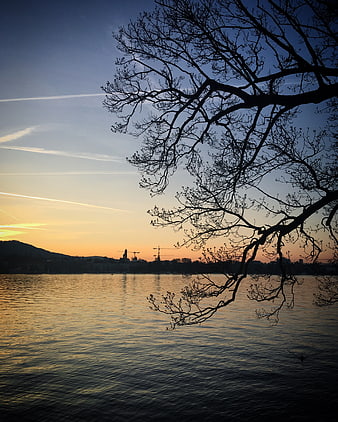 Silhouetted Tree Branches Over Lake at Sunset