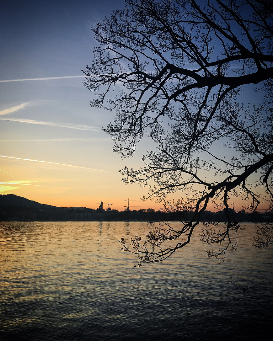 Silhouetted Tree Branches Over Lake at Sunset