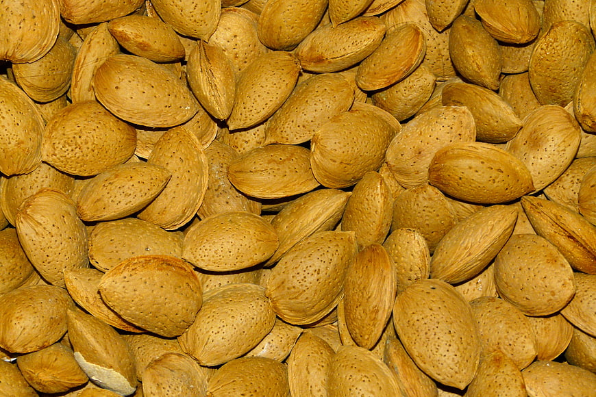 Close-up texture of raw almonds filling the frame