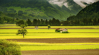 Vibrant Swiss Alpine Valley with Green Fields and Wooden Huts