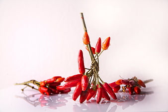 Fresh Red Goji Berries on White Background