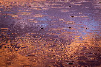 Raindrops creating ripples on water reflecting sunset colors
