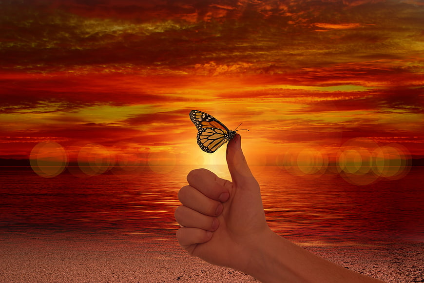 Butterfly on Thumb with Vibrant Sunset Ocean Background