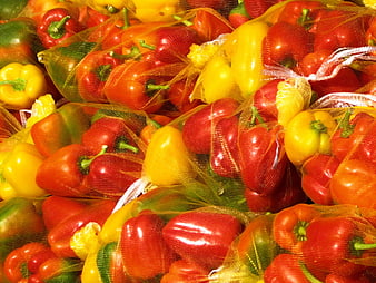 Colorful bags of red and yellow bell peppers at market
