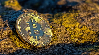 Gold Bitcoin Coin Resting On Textured Rock Surface