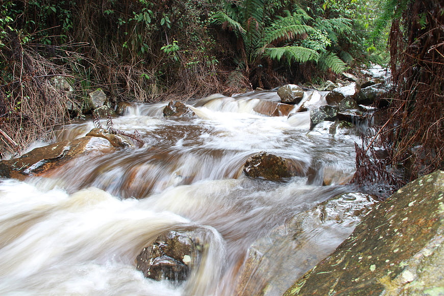 Flowing Mountain Stream in Lush Forest