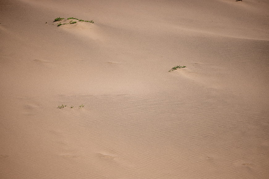 Minimalist Sand Dune Texture with Sparse Green Vegetation