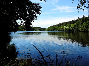 Serene Lake Landscape with Forest and Blue Sky