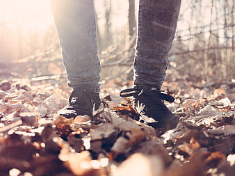 Close-up of sneakers on autumn leaves in forest