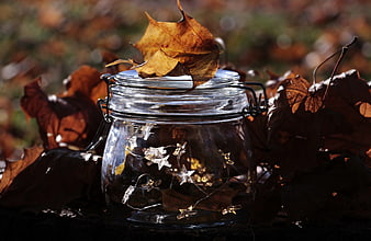 Glass jar with fairy lights and autumn leaves in warm sunlight