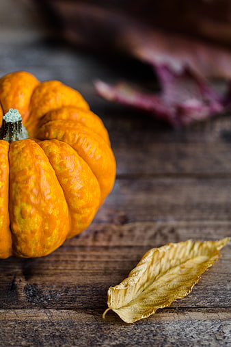 Small orange pumpkin and dried leaf on rustic wood