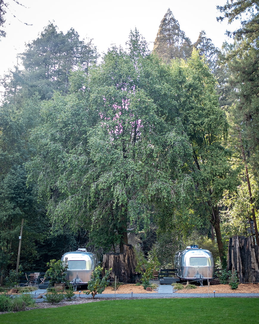 Silver Airstream Trailers Parked in Lush Forest Campsite