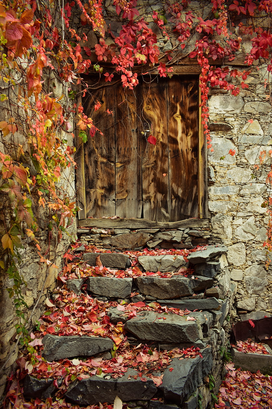 Rustic wooden door in stone wall with autumn ivy and stone steps