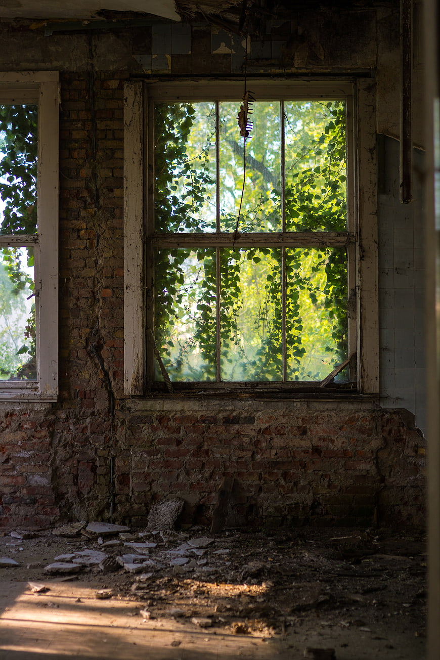 Abandoned Brick Interior With Overgrown Window And Ivy