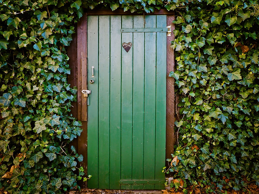 Rustic Green Wooden Door Surrounded by Lush Ivy