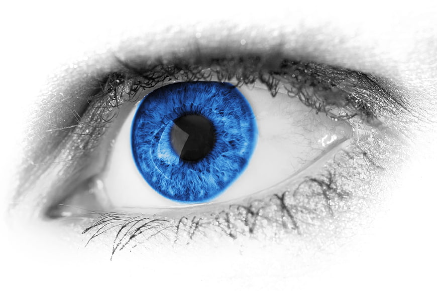 Close-up of a striking blue eye with black and white surroundings