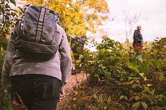 Hiker with Backpack Walking on Autumn Trail