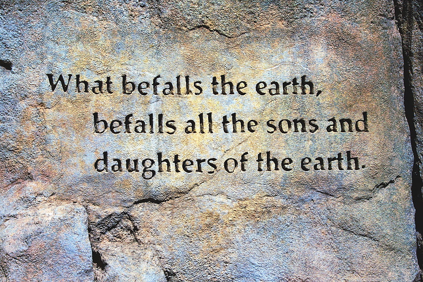 Environmental Quote Carved into Textured Rock Surface