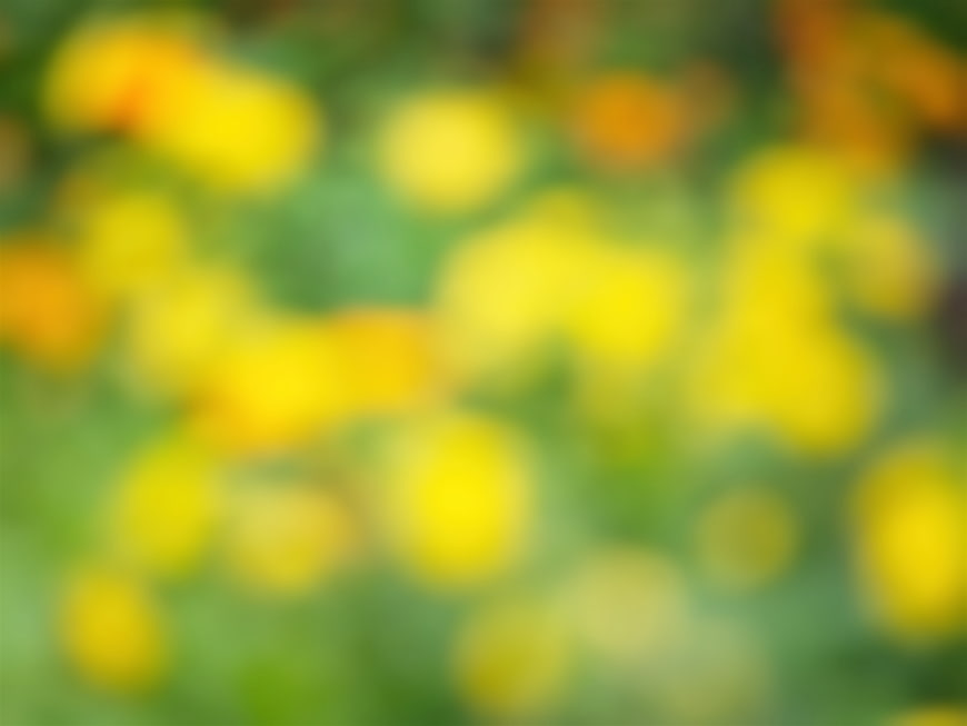 Abstract Yellow and Green Bokeh Background