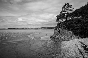 Black and white coastal landscape with cliffs and trees