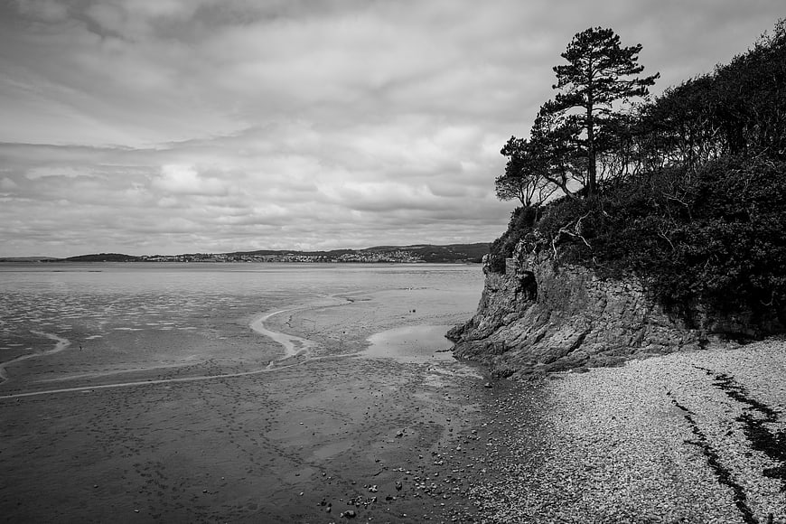 Black and white coastal landscape with cliffs and trees