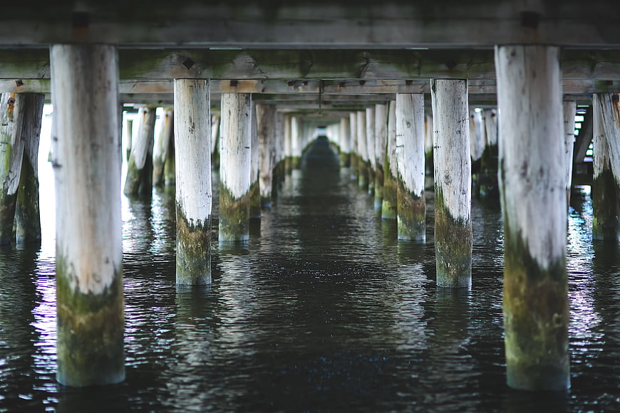 Underwater view of wooden pier pillars in Sopot