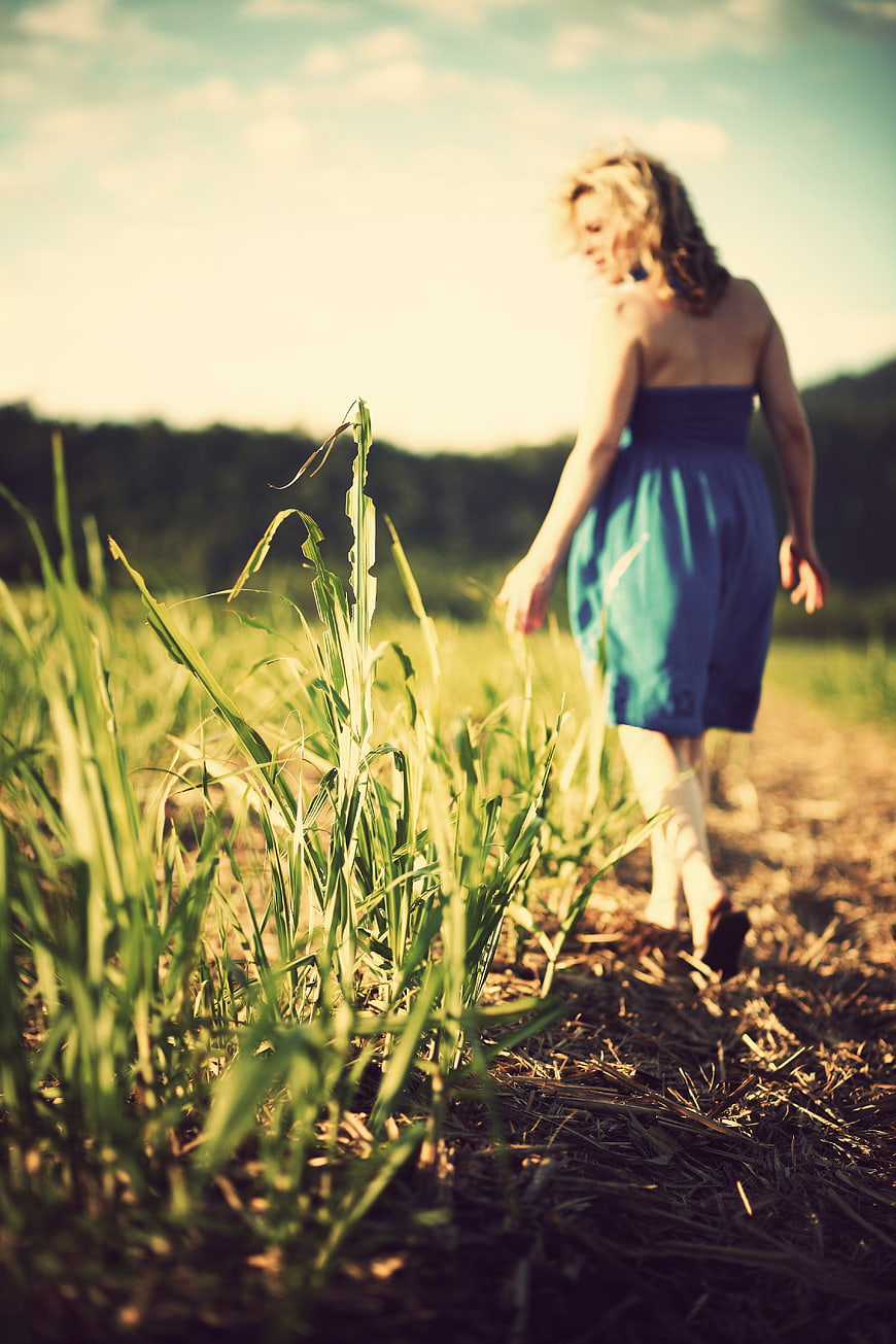 Woman in Blue Dress Walking Through Cornfield