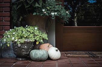 Autumn Pumpkins and Flowers on a Brick Porch