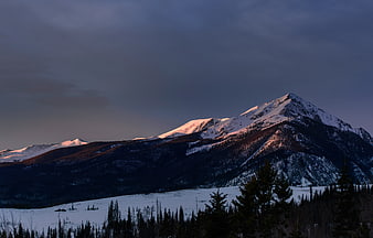 Snow-Capped Mountain Peak at Dusk with Foreground Forest