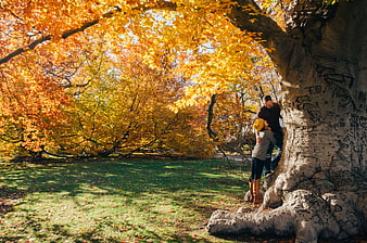 Happy couple hugging under large autumn tree in park