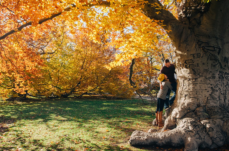 Happy couple hugging under large autumn tree in park